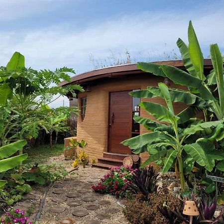 Pôrto de Pedras Eco Loft Maymuna: Seu Loft Ecologico Pertinho Da Praiaヴィラ エクステリア 写真