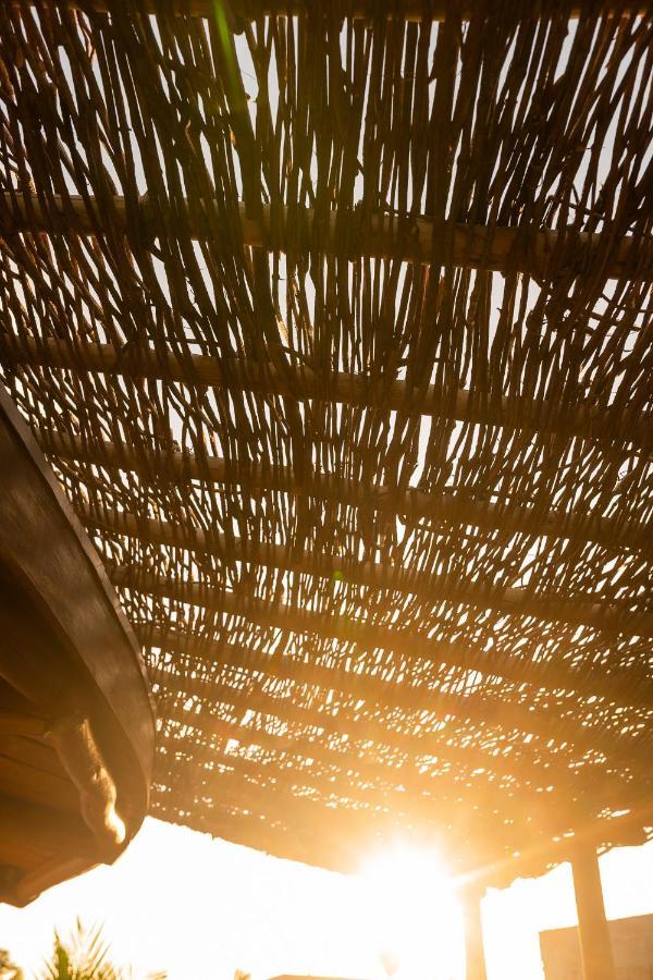 Pôrto de Pedras Eco Loft Maymuna: Seu Loft Ecologico Pertinho Da Praiaヴィラ エクステリア 写真