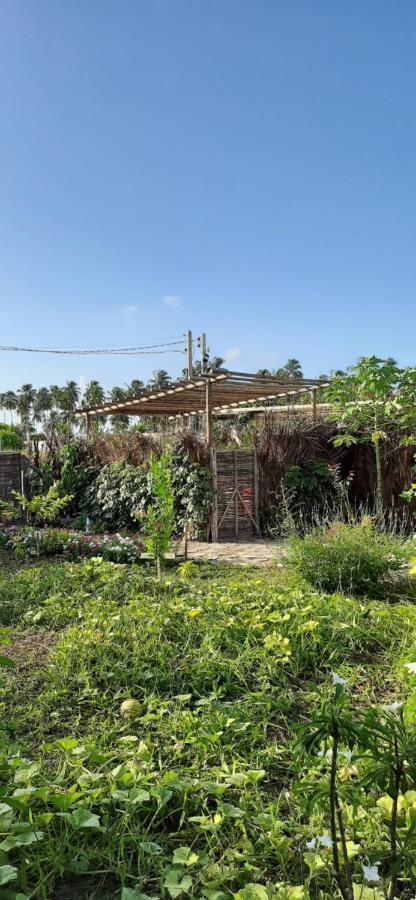 Pôrto de Pedras Eco Loft Maymuna: Seu Loft Ecologico Pertinho Da Praiaヴィラ エクステリア 写真