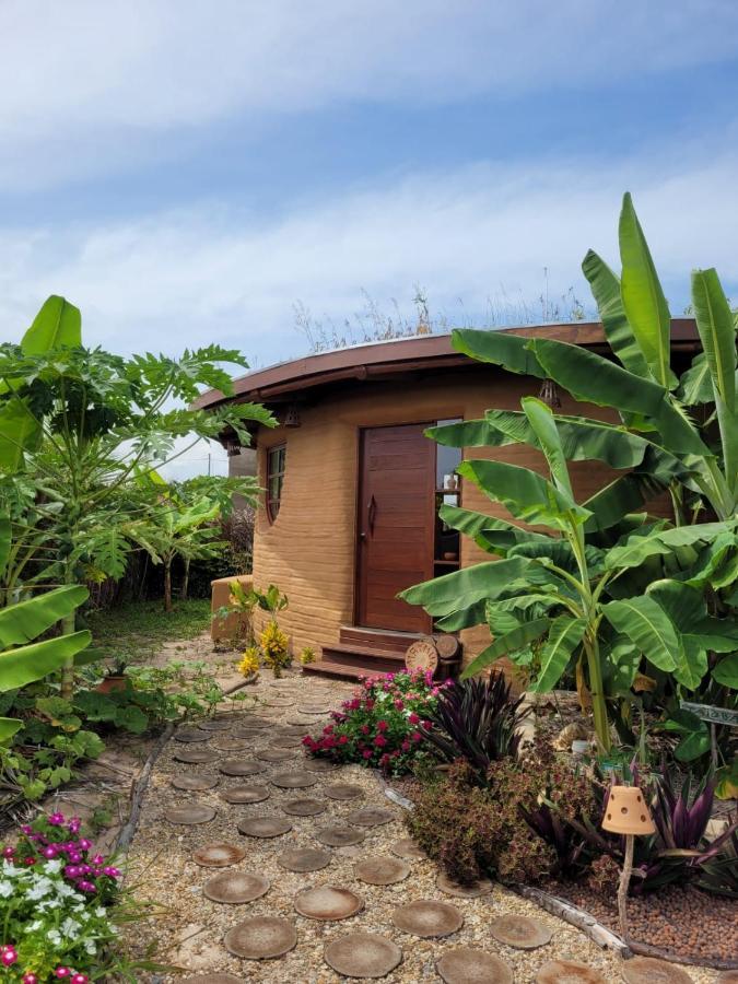 Pôrto de Pedras Eco Loft Maymuna: Seu Loft Ecologico Pertinho Da Praiaヴィラ エクステリア 写真